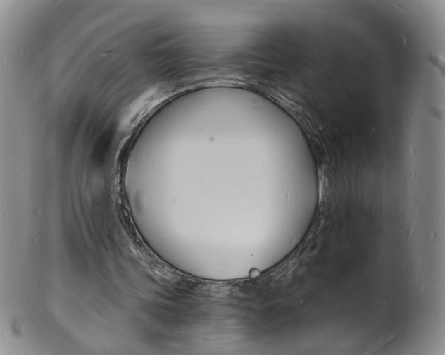 X0000101670339200807101054