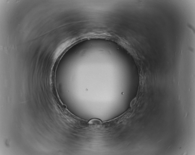 X0000101670340200807101054