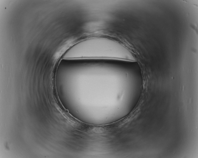 X0000101670341200807101054