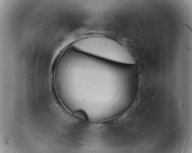 X0000101670342200807101054