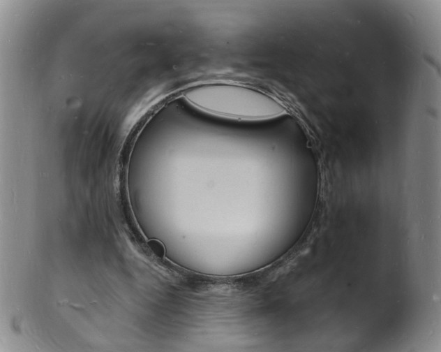 X0000101670344200807101054