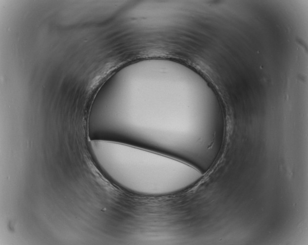 X0000101670345200807101054