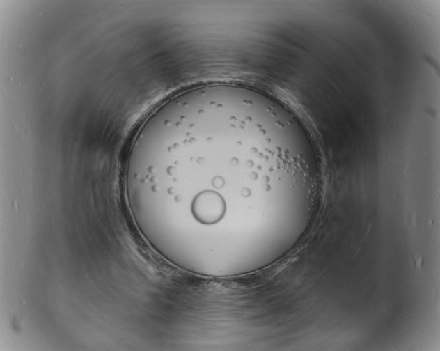 X0000101670346200807101054