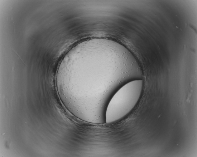 X0000101670347200807101054