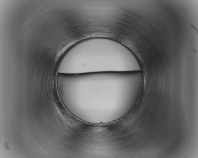 X0000101670348200807101054