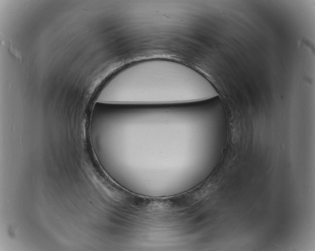 X0000101670350200807101054