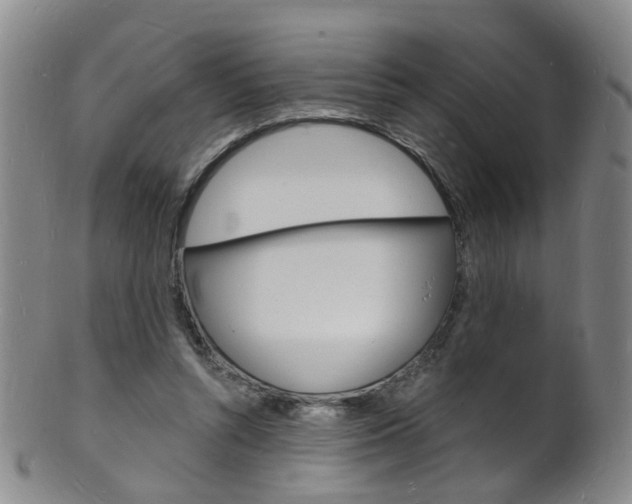 X0000101670352200807101054