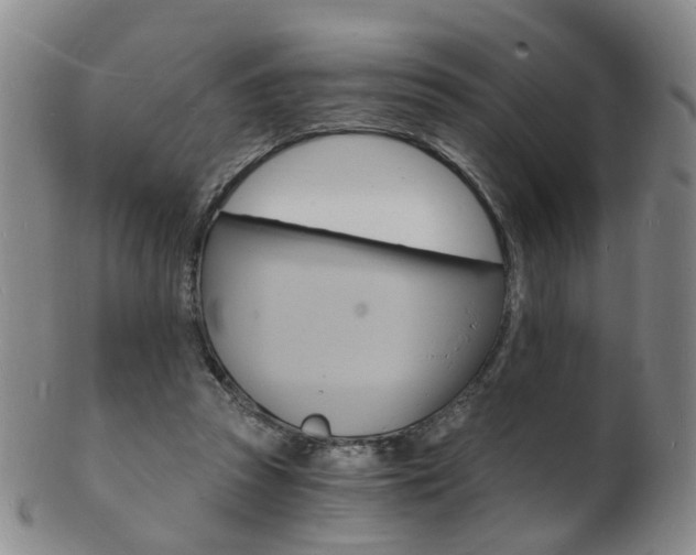 X0000101670353200807101054