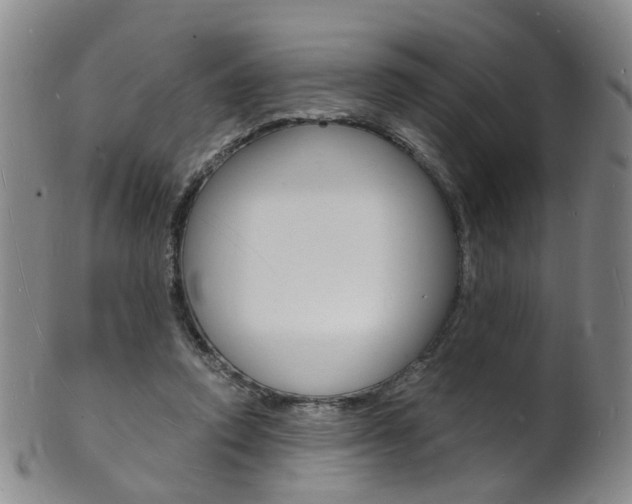 X0000101670354200807101054