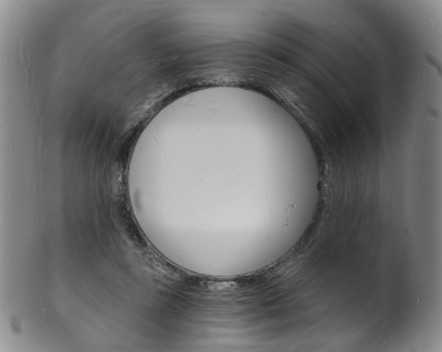 X0000101670355200807101054