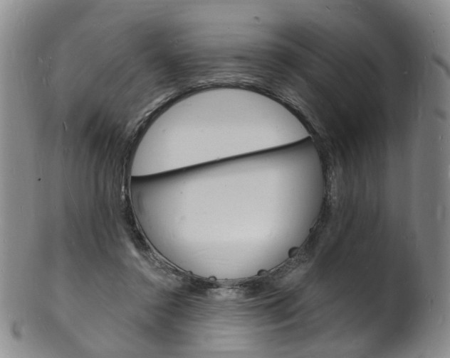 X0000101670356200807101054