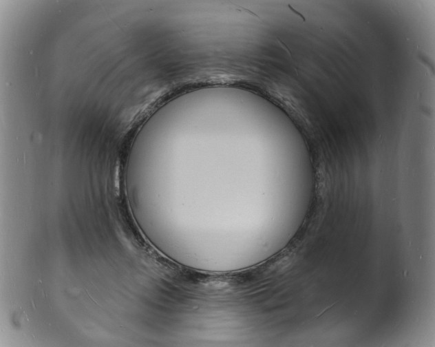 X0000101670358200807101054