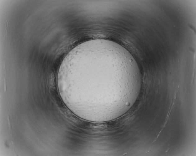 X0000101670359200807101054