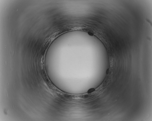 X0000101670360200807101054