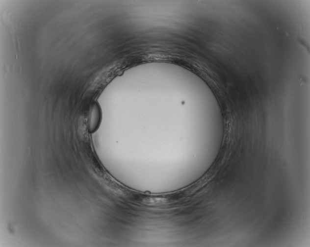 X0000101670361200807101054
