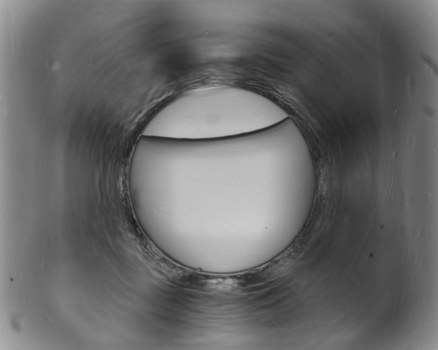 X0000101670363200807101055