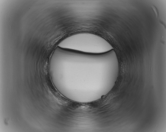 X0000101670364200807101055