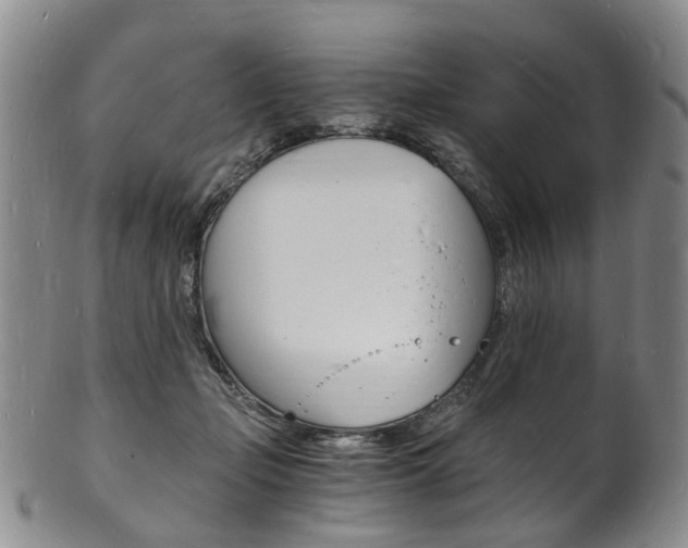 X0000101670365200807101055