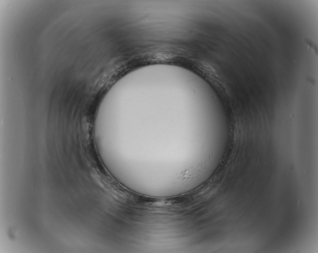 X0000101670366200807101055