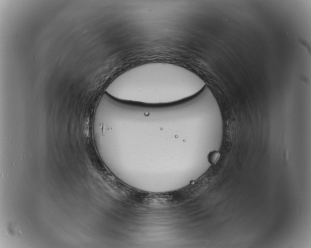 X0000101670368200807101055