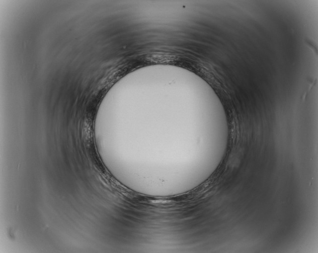 X0000101670371200807101055
