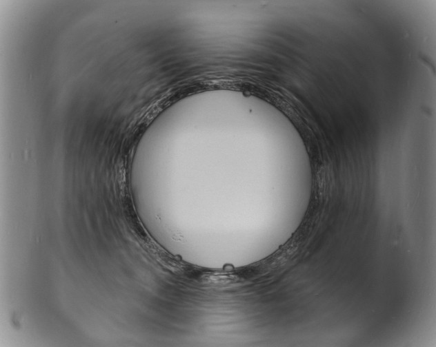X0000101670372200807101055