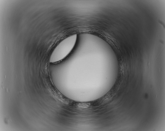 X0000101670373200807101055