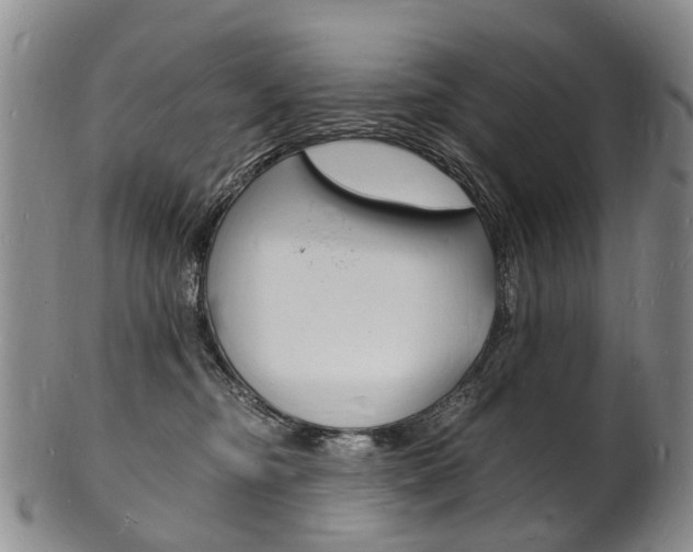 X0000101670374200807101055