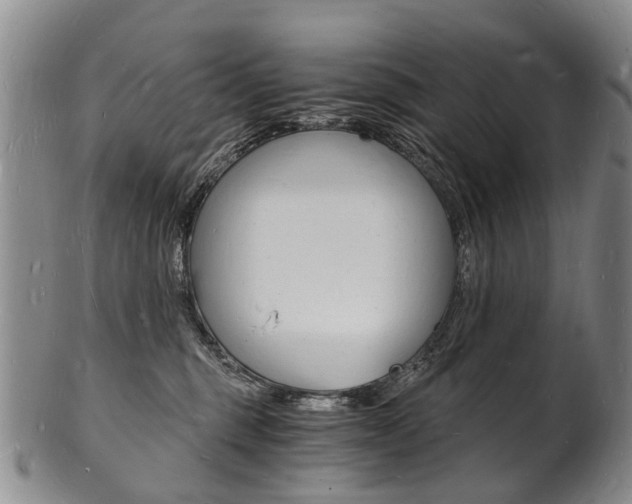X0000101670375200807101055