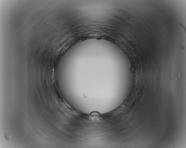 X0000101670376200807101055