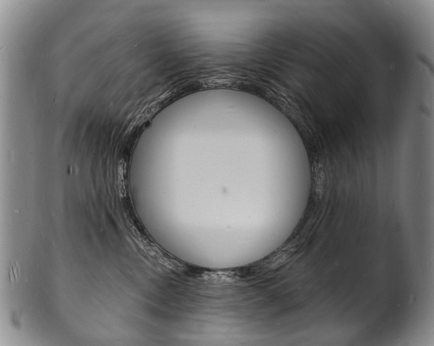 X0000101670378200807101055