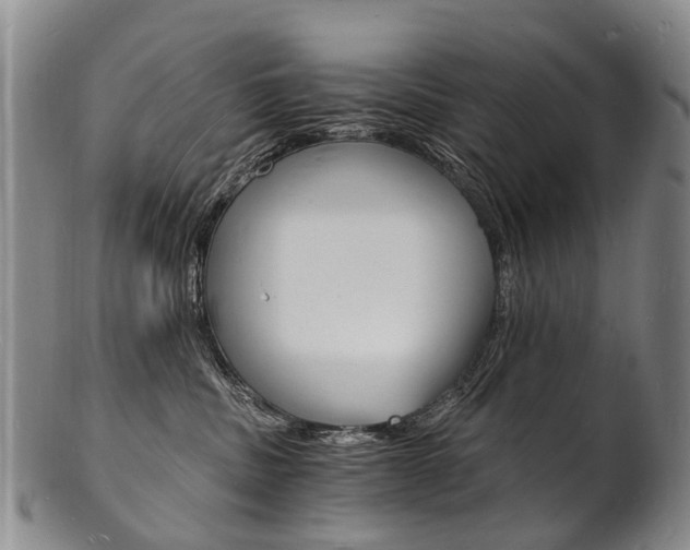 X0000101670379200807101055