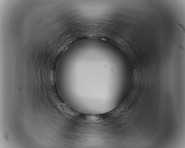 X0000101670380200807101055