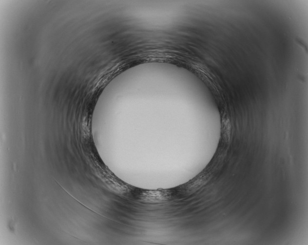 X0000101670381200807101055