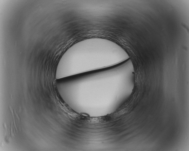 X0000101670382200807101055