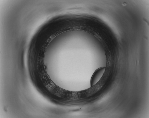 X0000101670383200807101055