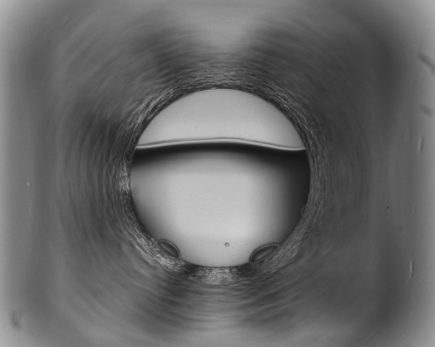 X0000101670384200807101055