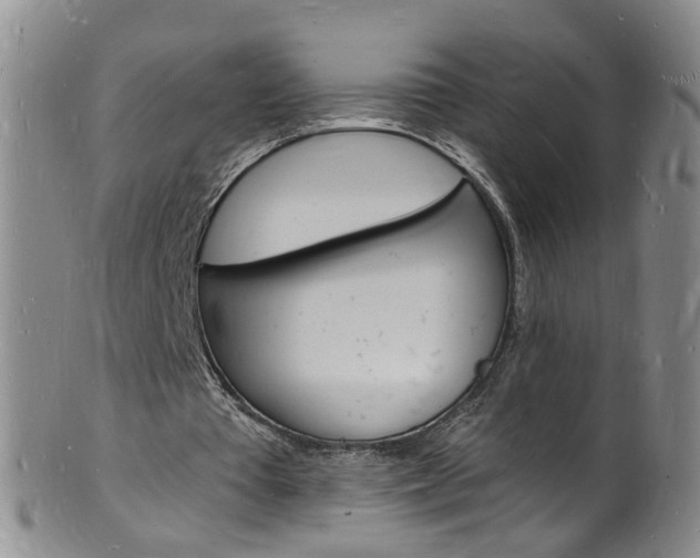 X0000101670385200807101054