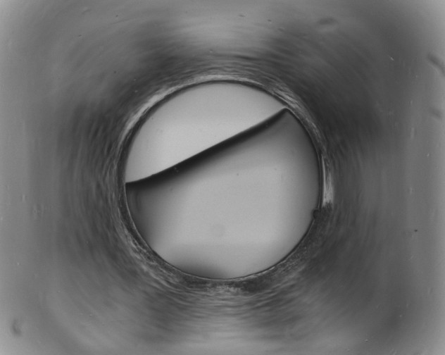 X0000101670387200807101054