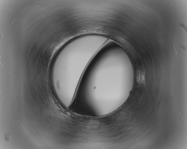X0000101670388200807101054