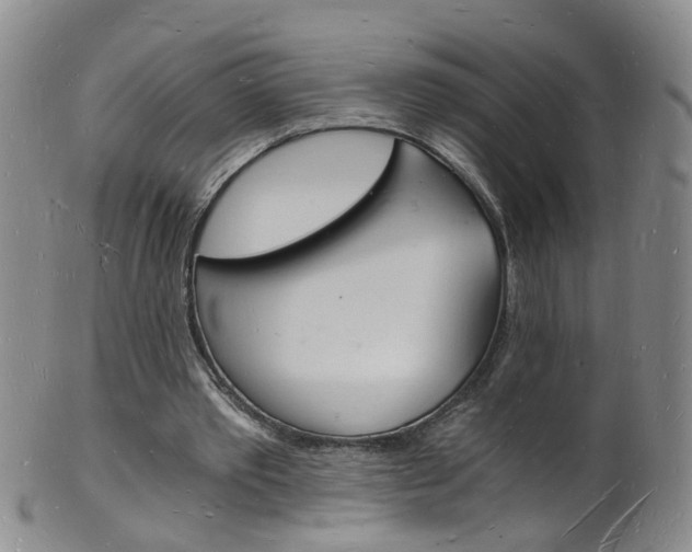 X0000101670389200807101054