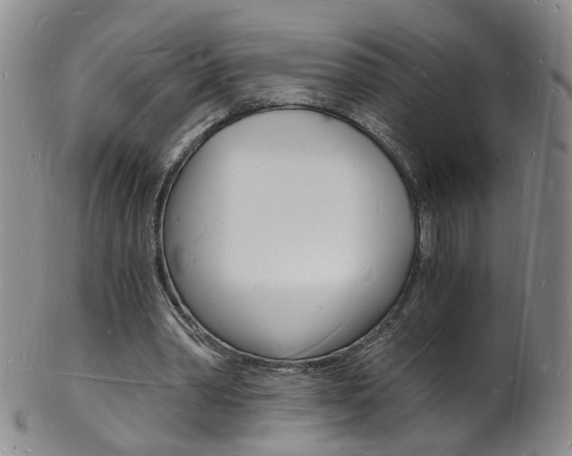 X0000101670390200807101054