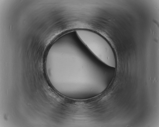 X0000101670391200807101054