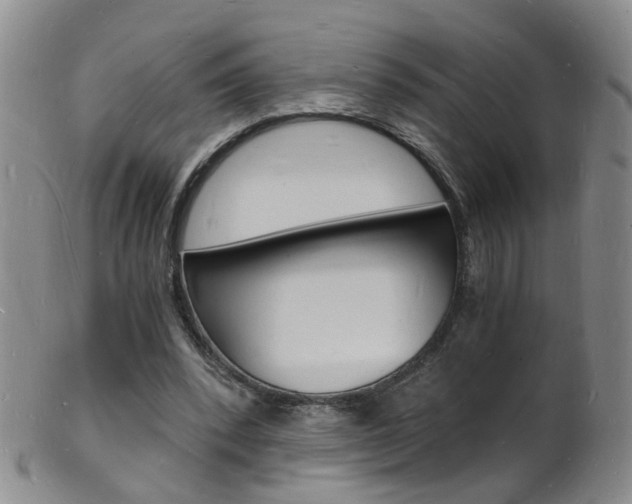 X0000101670392200807101054