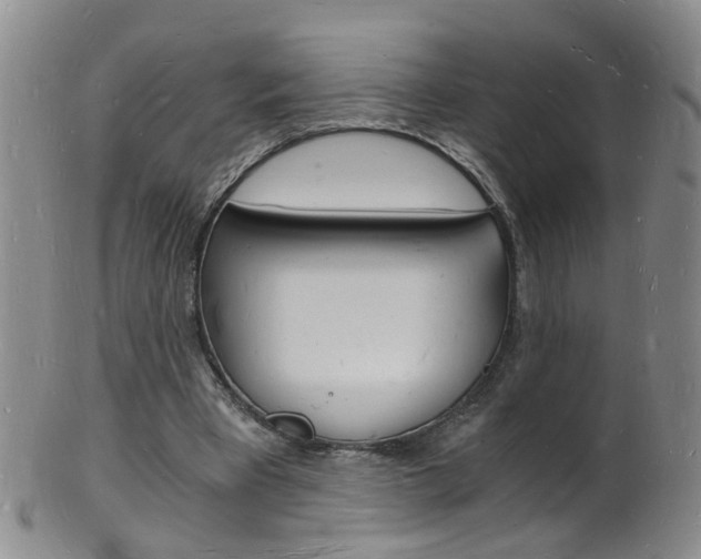 X0000101670393200807101054