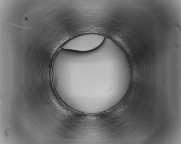 X0000101670394200807101054