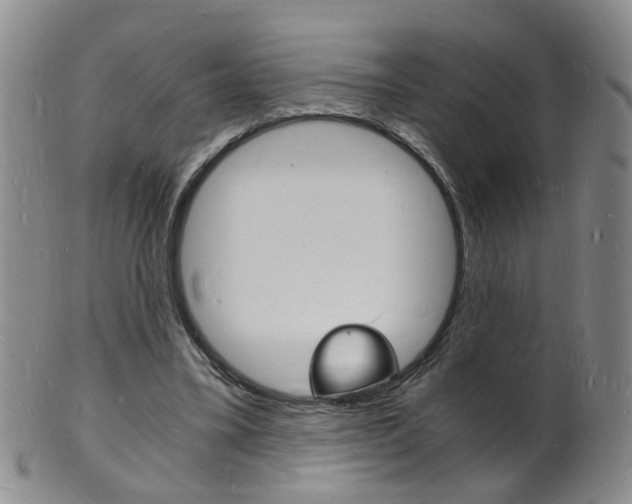 X0000101670395200807101054