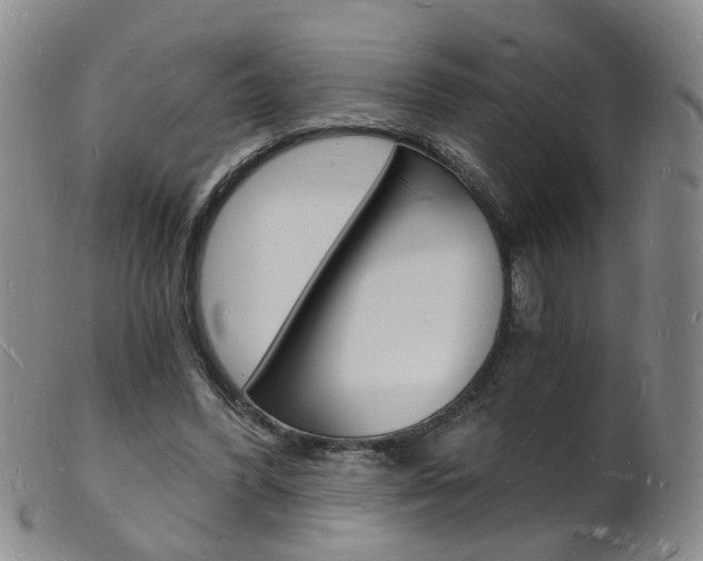 X0000101670396200807101054