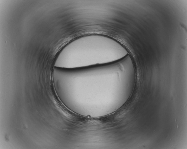 X0000101670397200807101054