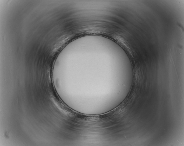 X0000101670398200807101054